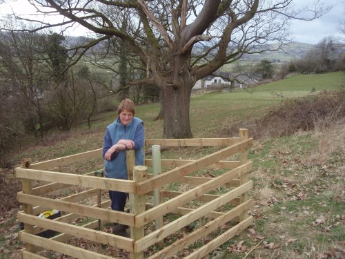 Planting the Next Generation of Oaks